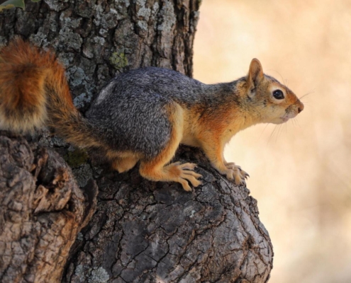 1a617b5a-c9b4-41f5-8091-20862d8fdd0a