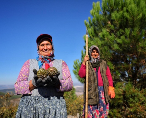 1c9e661c-43c5-4048-9986-41a67df0c4cb