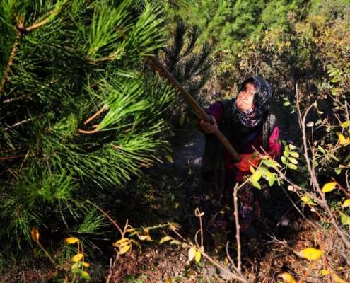 2d1ca557-c848-4dbd-b79d-b56819f287db