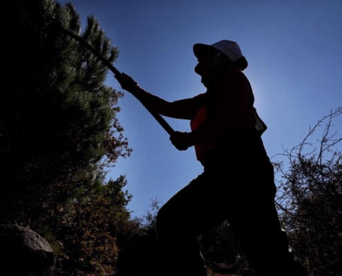 3a8aa3c6-af3e-4151-a781-f4752be1e943