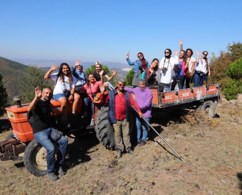 4ee7a1cc-6054-4229-b288-ffd309603b15