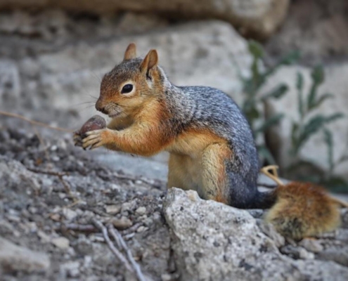 9ea60327-7184-4ae3-9372-1818909af1ff