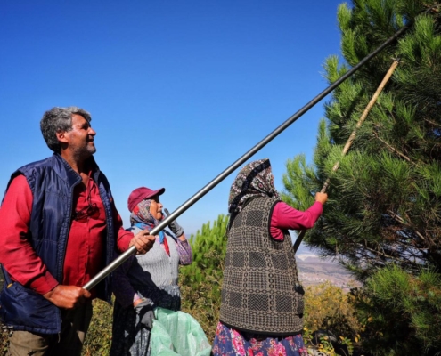 be2fe88c-d85c-4ef6-ab8e-19d6c2c7d6ad