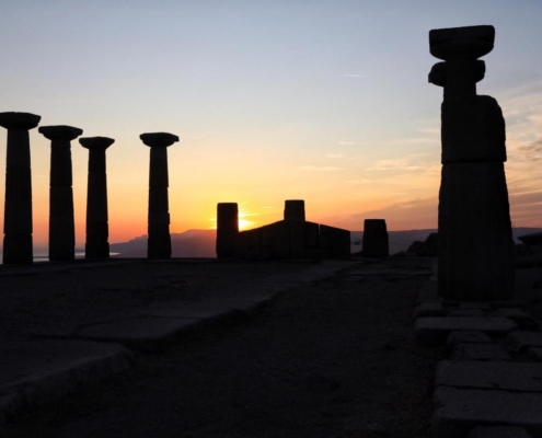 e1a8f9e4-0bd0-44a6-b5f5-70947bb18cc7